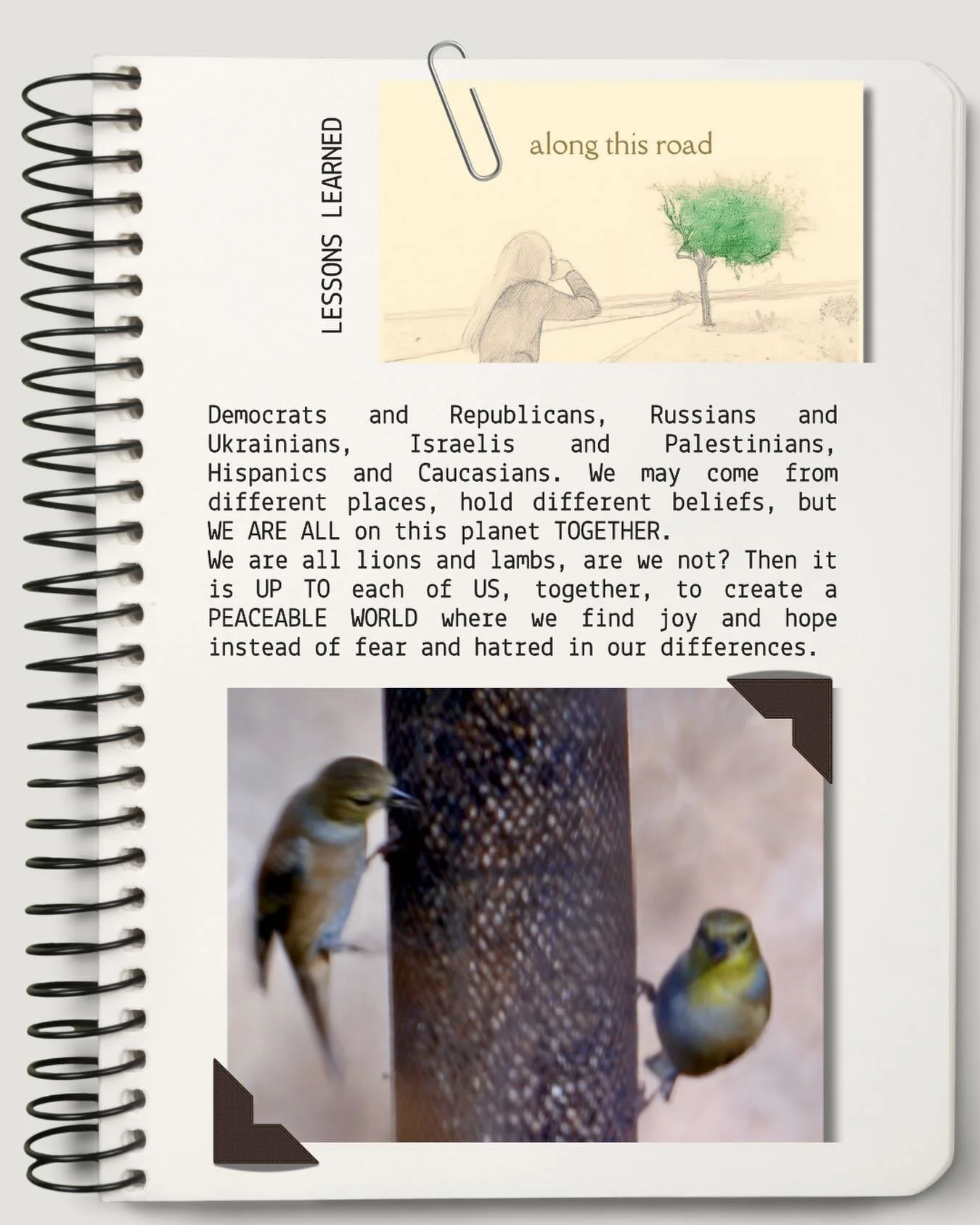 We have to re-learn how to be different . . . together.
#differenttogether #hope #healing