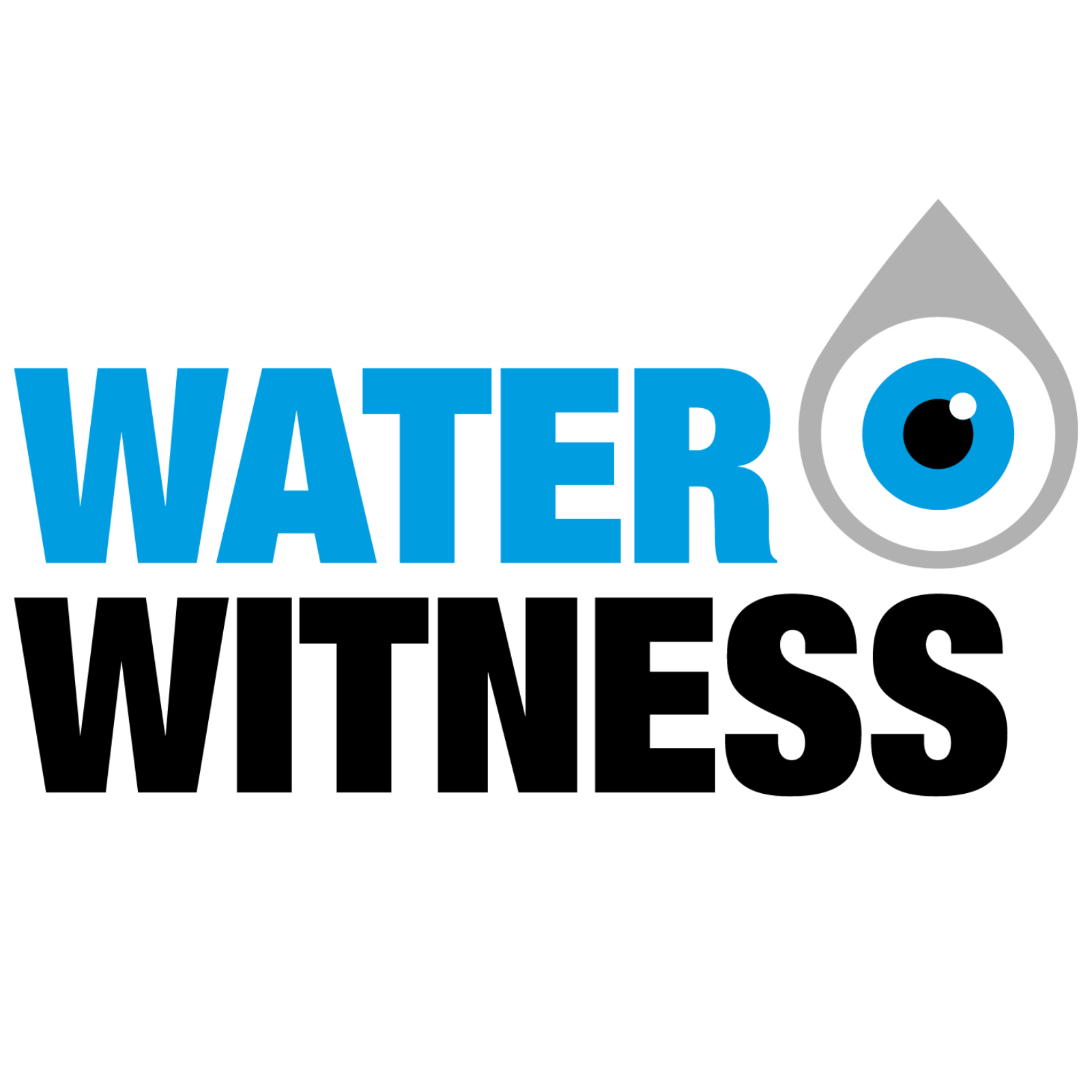 Water Witness International