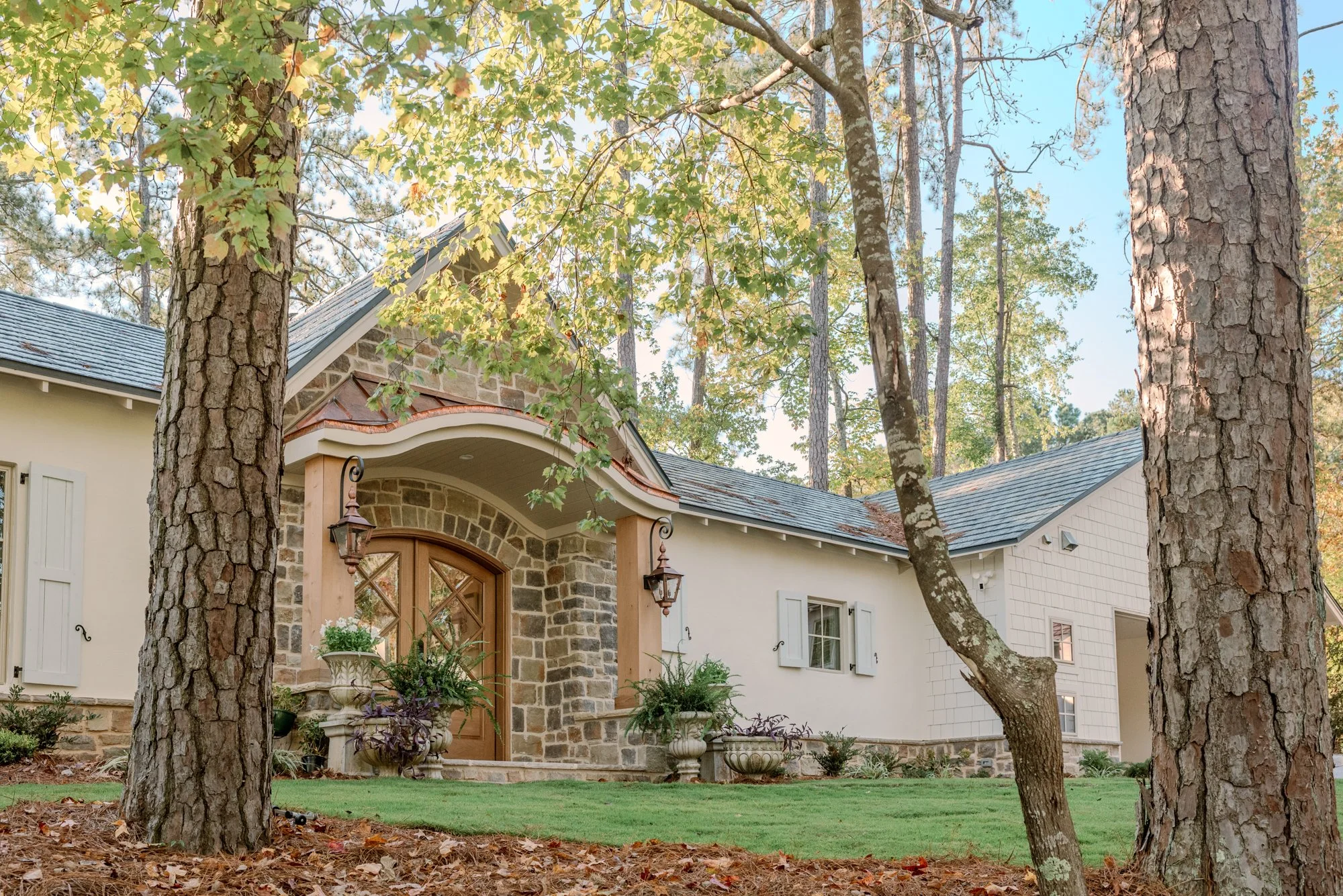 Tangled website-3.jpg