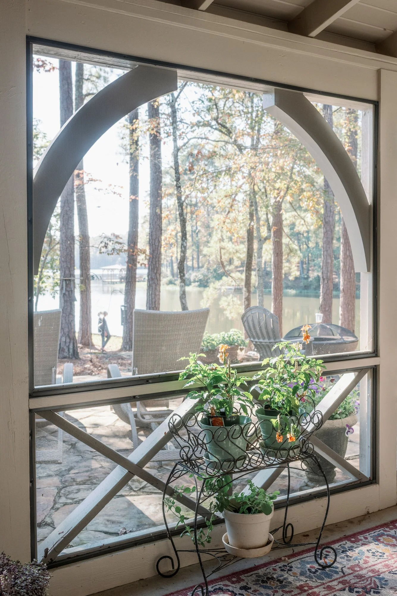 Tangled website-12.jpg