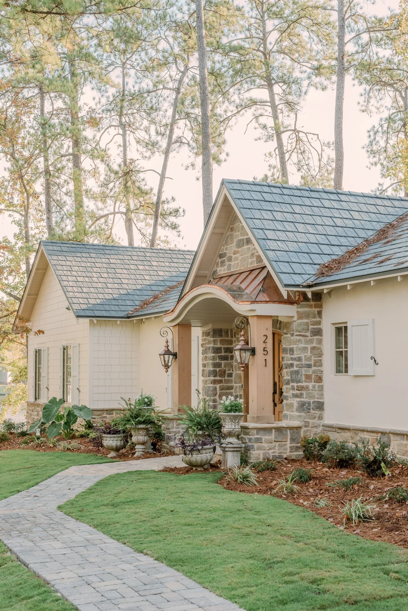 Tangled website-2.jpg