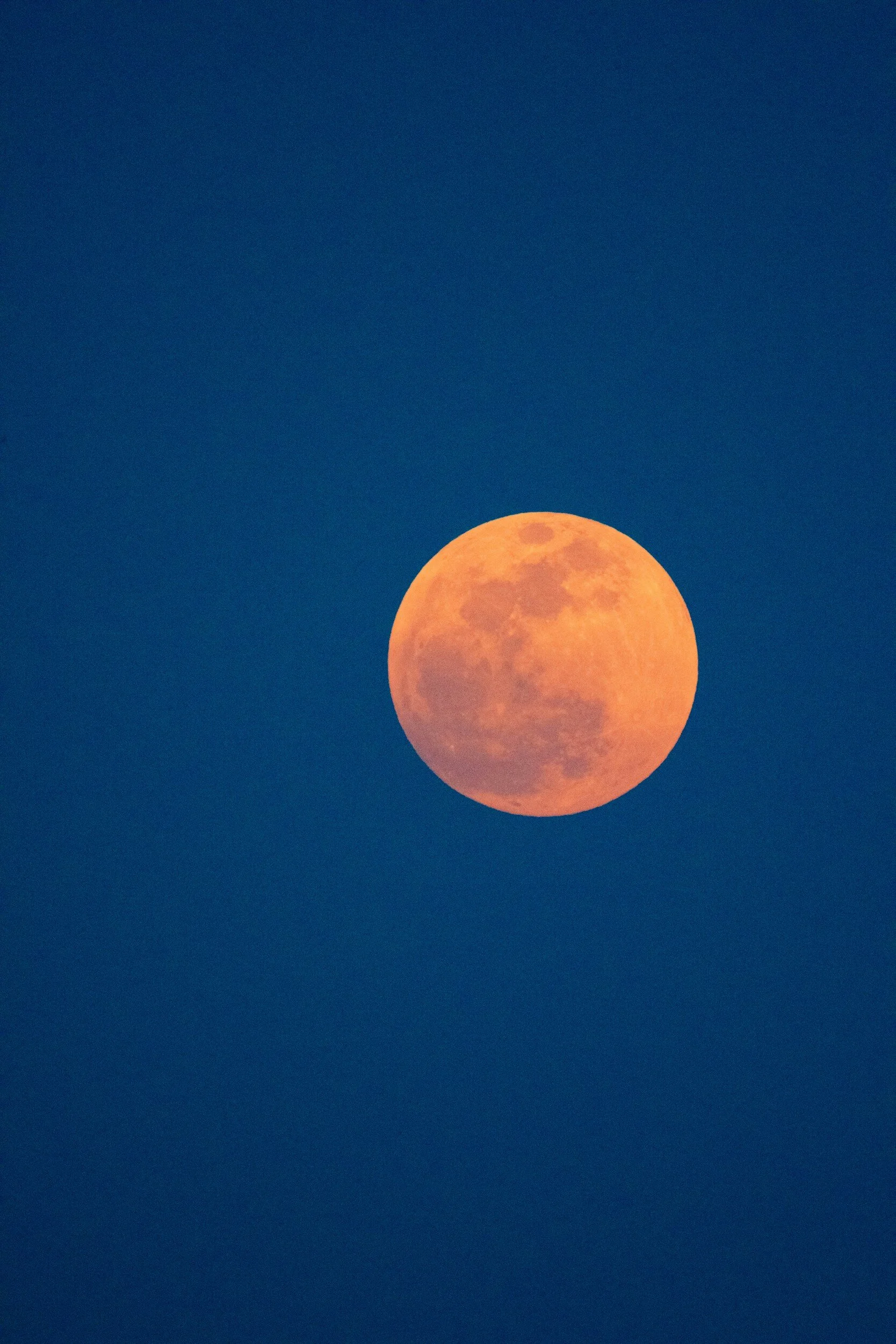 Orange full moon against a dark blue sky