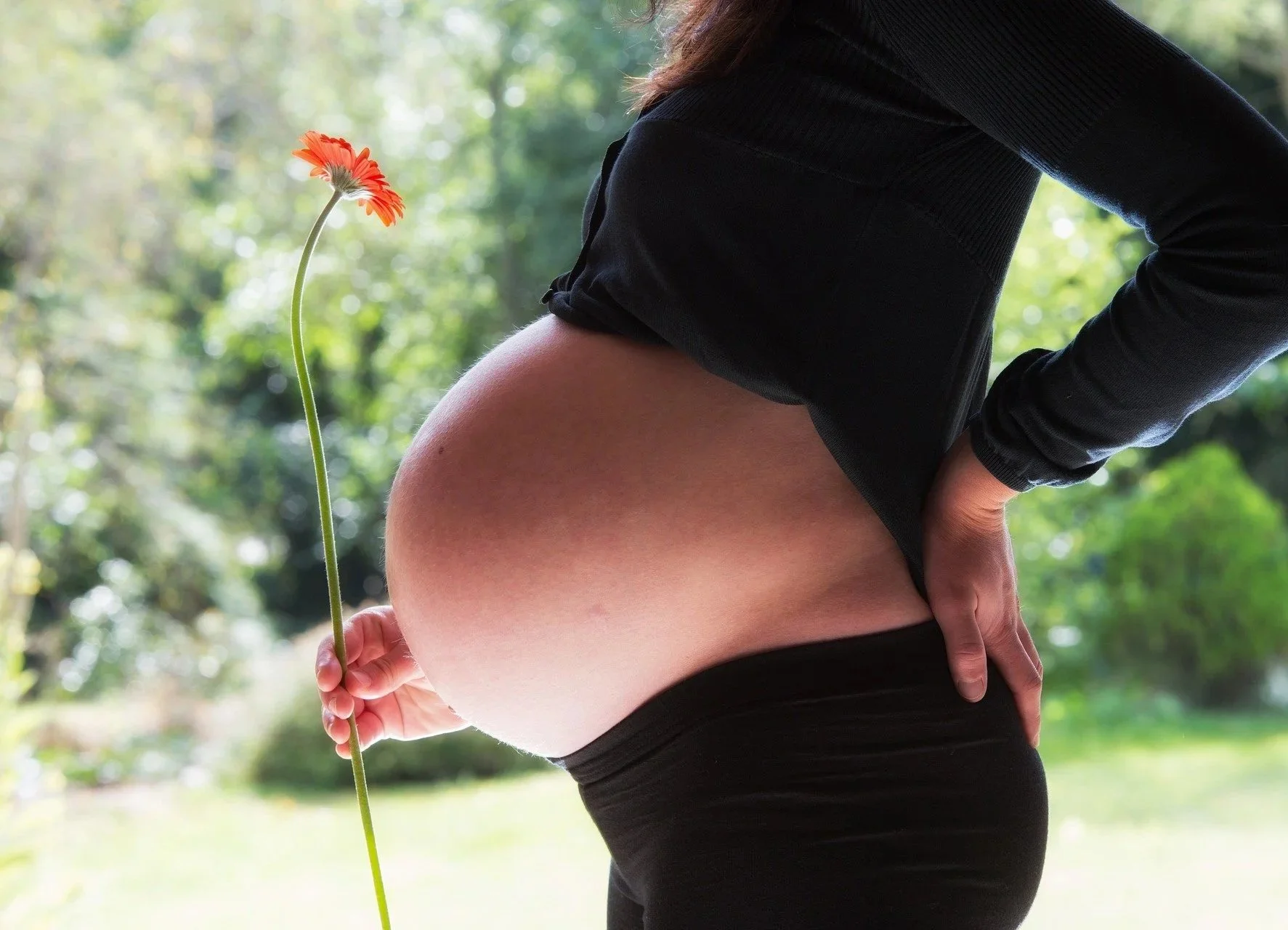 pregnant-woman-1130612_1920.jpg