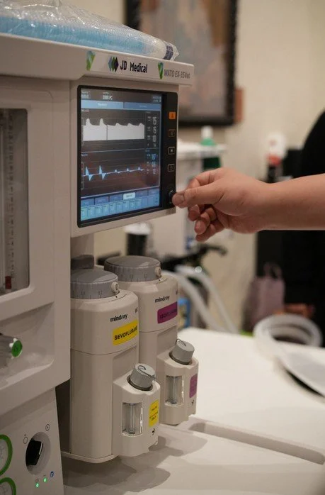 Modes of Mechanical Ventilation During Veterinary Anesthesia: Is There a Clear Winner?