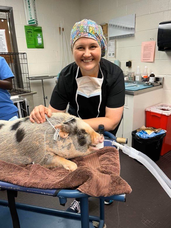 VETERINARY ANESTHESIA NERDS