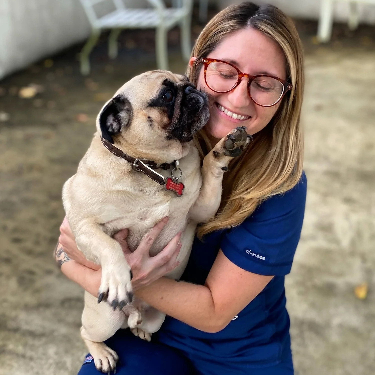 Nerds — VETERINARY ANESTHESIA NERDS