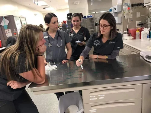 Veterinary Anesthesia Nerds