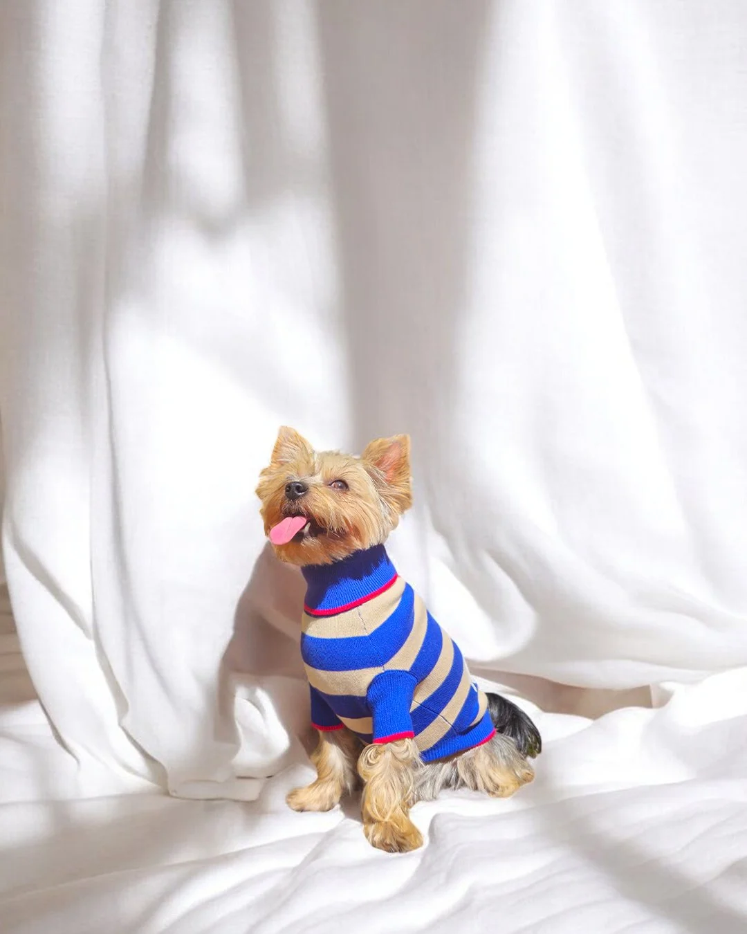 bently in maritime.jpg