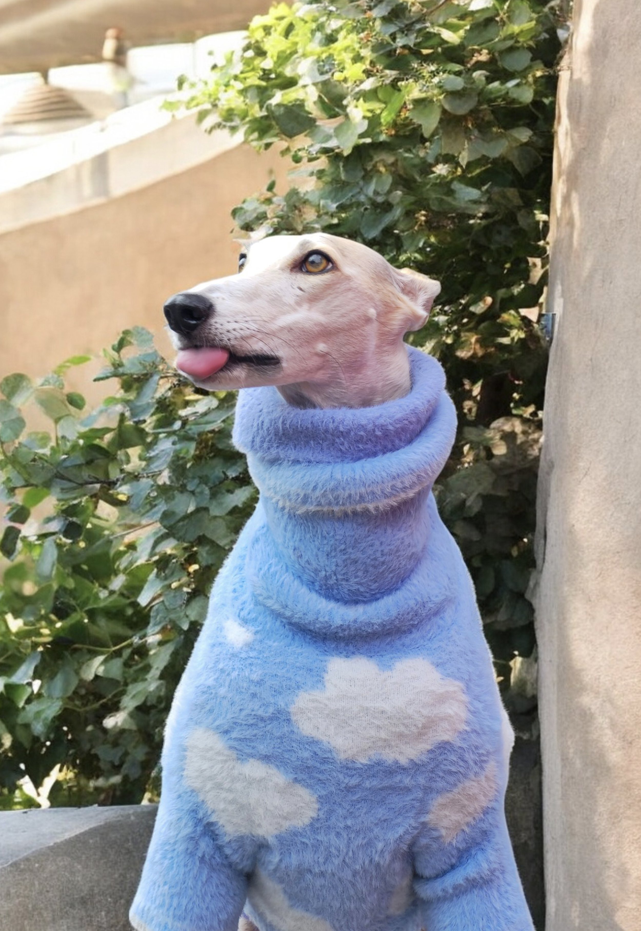 Evie in 2 jumpers.jpg