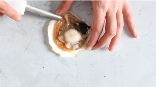 scallop_shuck_8.png