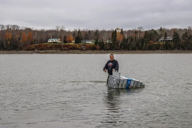 Dictated by the Tides An Evening with Mount Desert Island Oysters — The Briny Babe