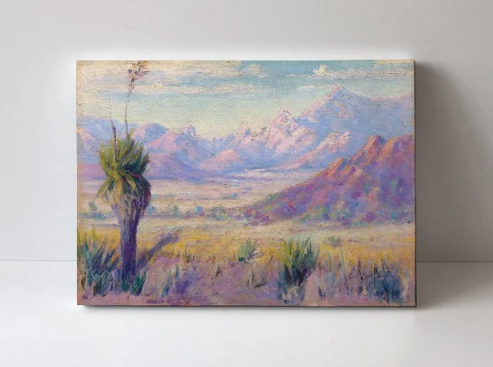 Cochise Stronghold and Old Yucca (1931)
