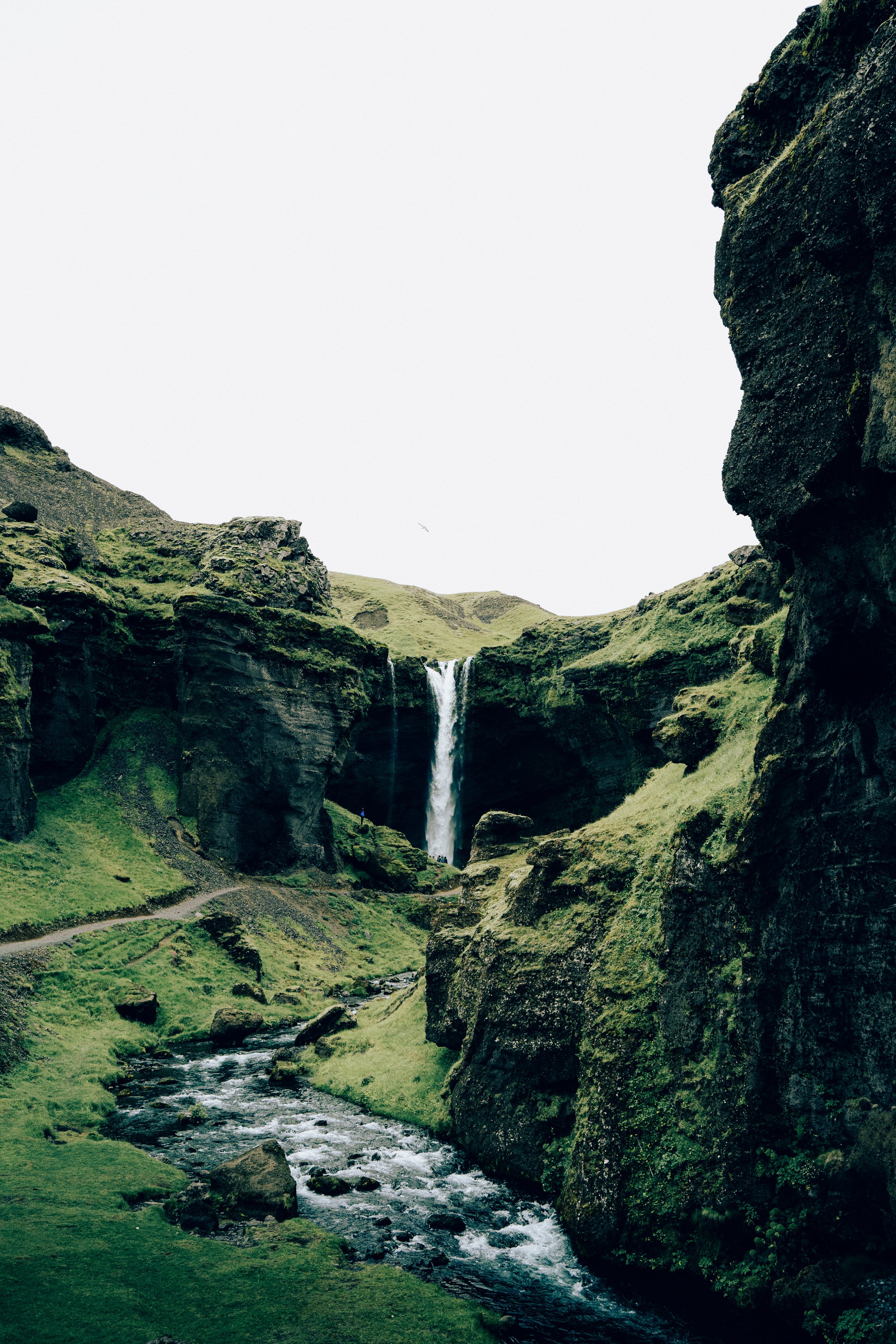 202207_Island-68.jpg