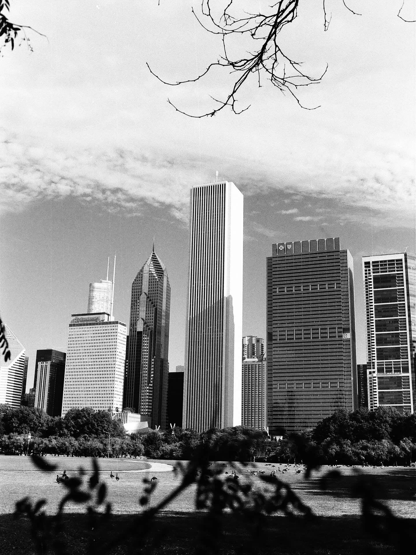 35mm film strolls through Chi-Town

📷 Nikon F100 - 35mm, f/2
🎞️ Ilford FP-4

#chicagogram #chitown #chicagoonfilm #kodakfilm #kodakfilmphotography #kodak35mm #ilfordphoto #ilfordfp4plus125 #ilfordfilm #ilfordfp4plus #bnwphotos #bnwfilm #blackandwhi