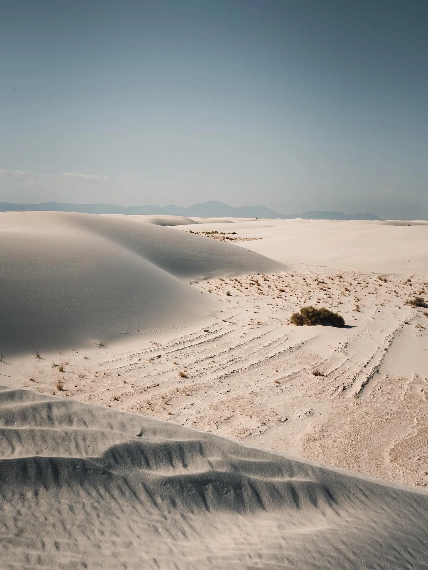 White Sands National Park felt like another planet. Endless dunes, blinding sun, and a disorienting silence. Getting lost was easier than finding the way back

📷 Sony A7 IV - 24-105 F/4 G OSS

#whitesandsnationalpark #whitesandsnationalmonument #nat