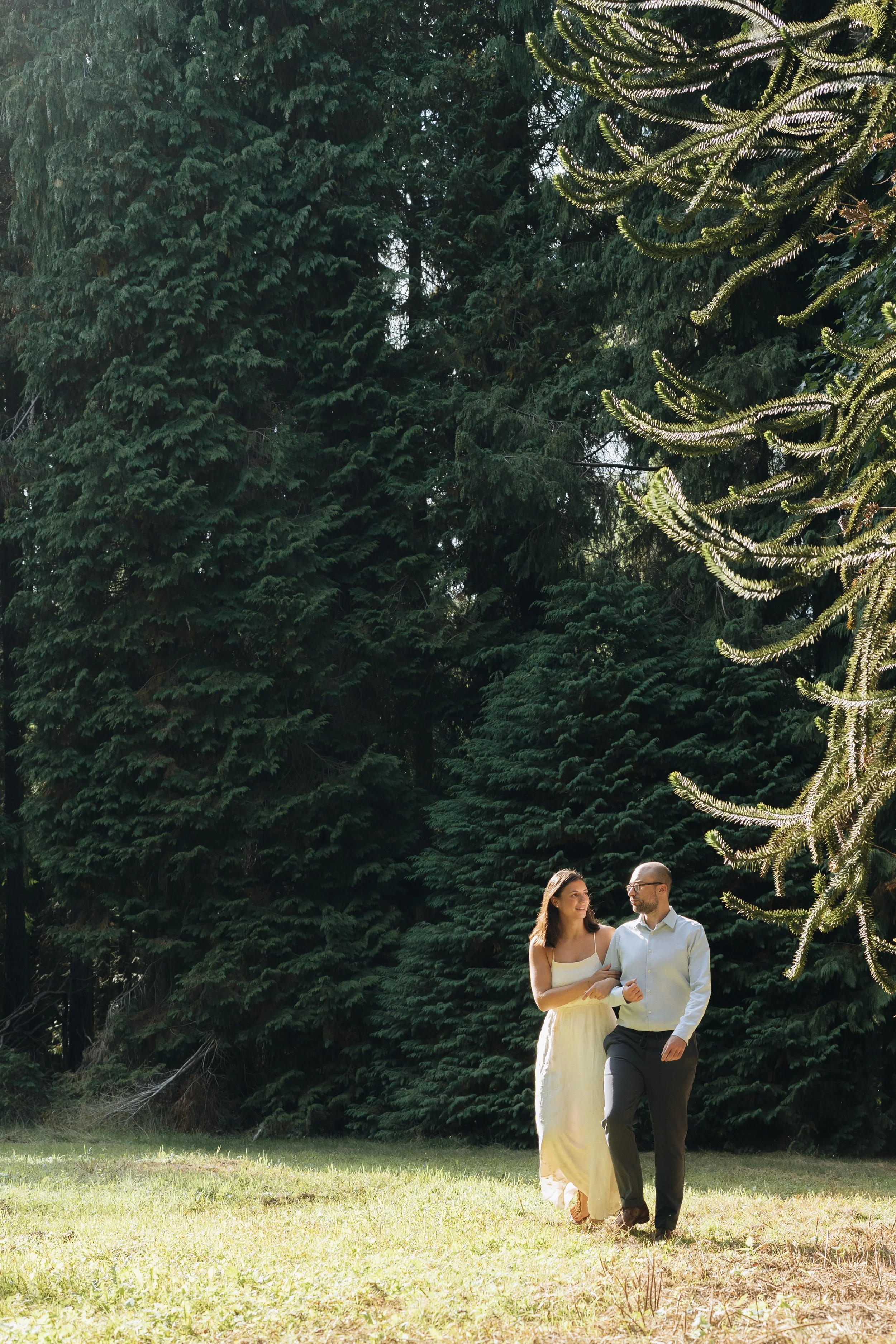 bruiloft-engagement-shoot-zoniënwoud28.jpg