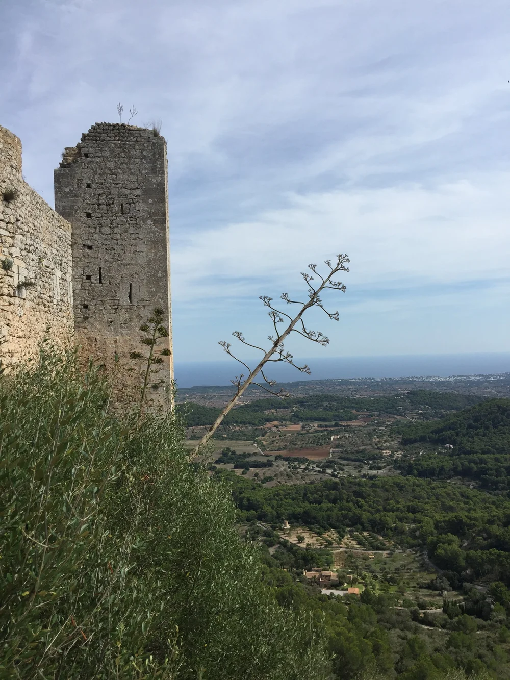 CastelldeSantueri5.JPG