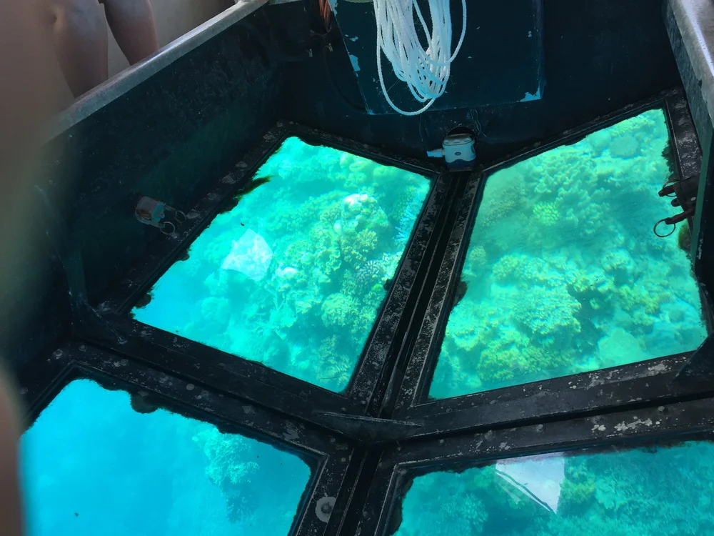GB Reef1.JPG