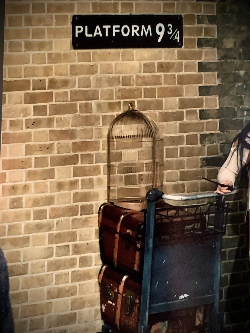 Platform 9 3:4.jpg