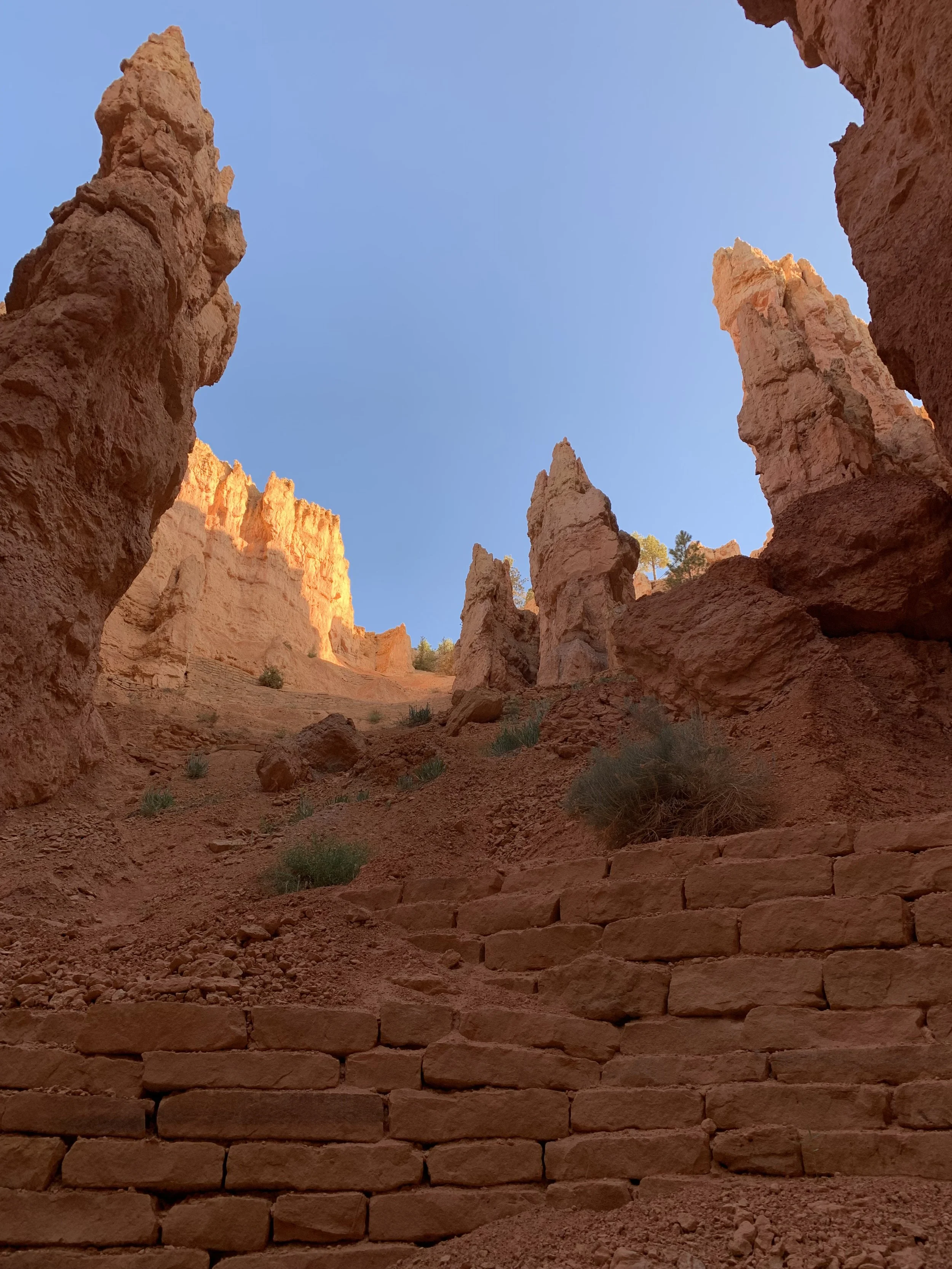 bryce 4.jpeg