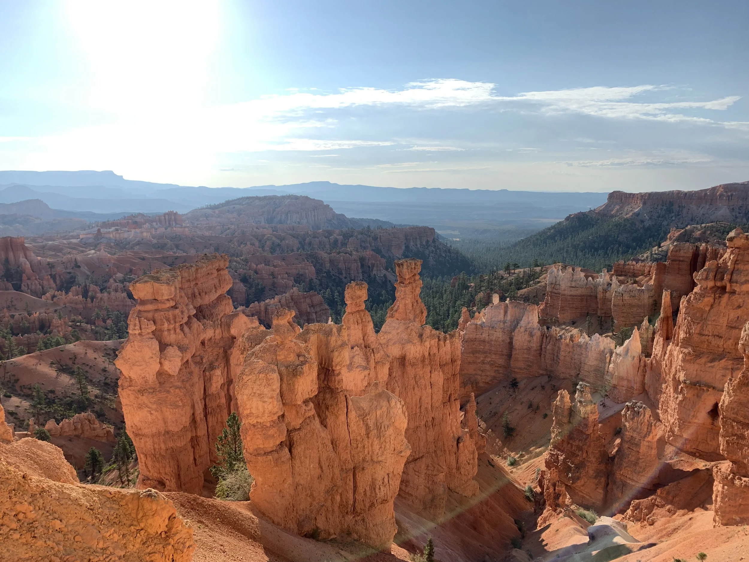 bryce 7.jpeg