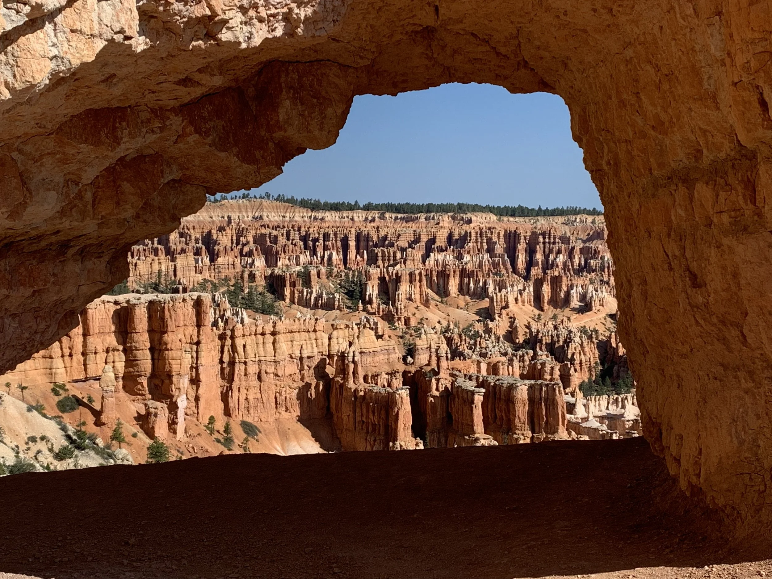 bryce 10.jpeg