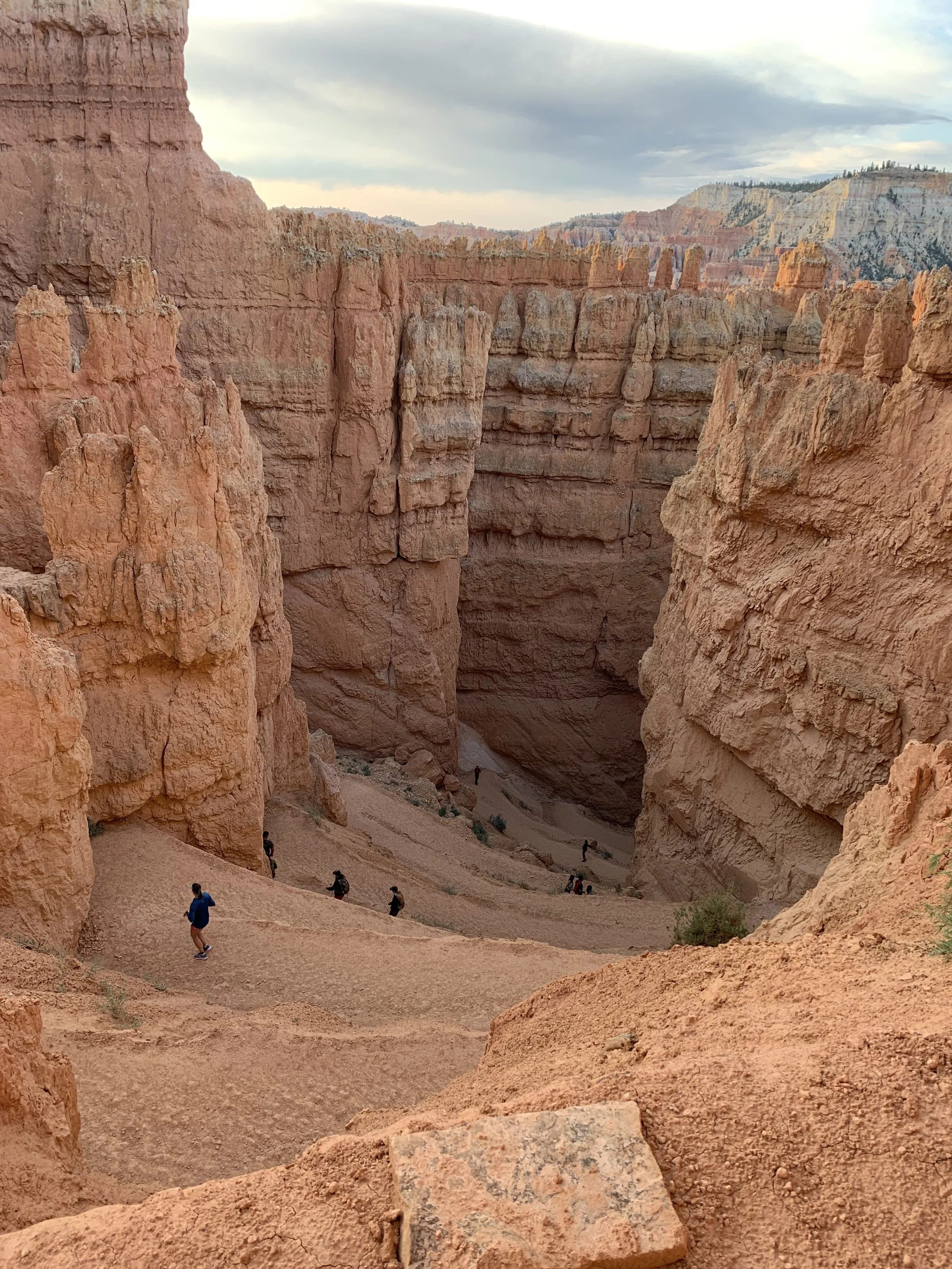 bryce 3.jpeg