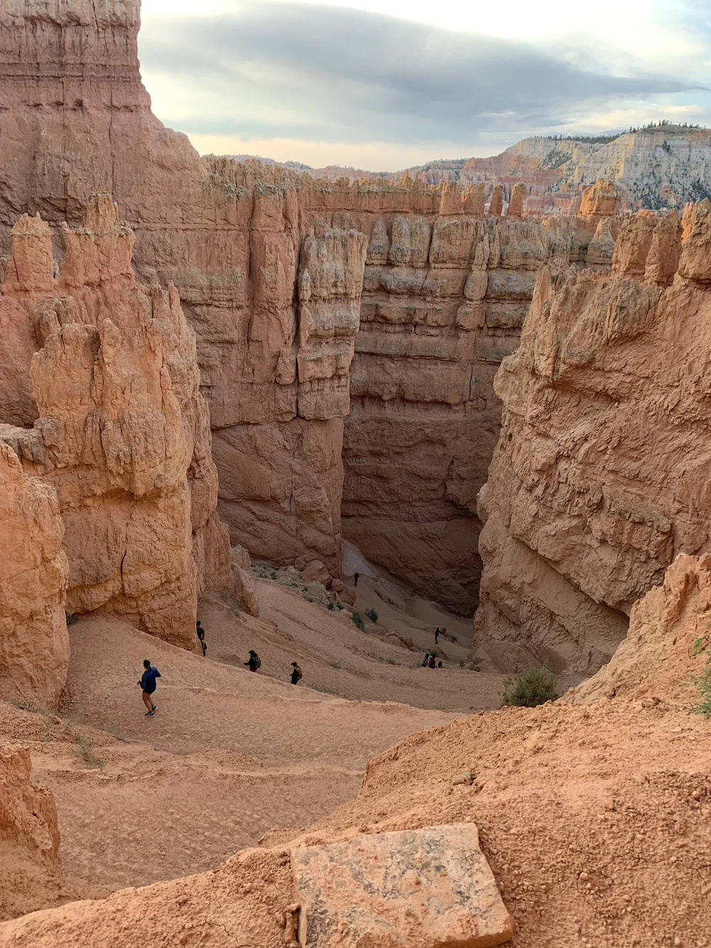 bryce 3.jpeg