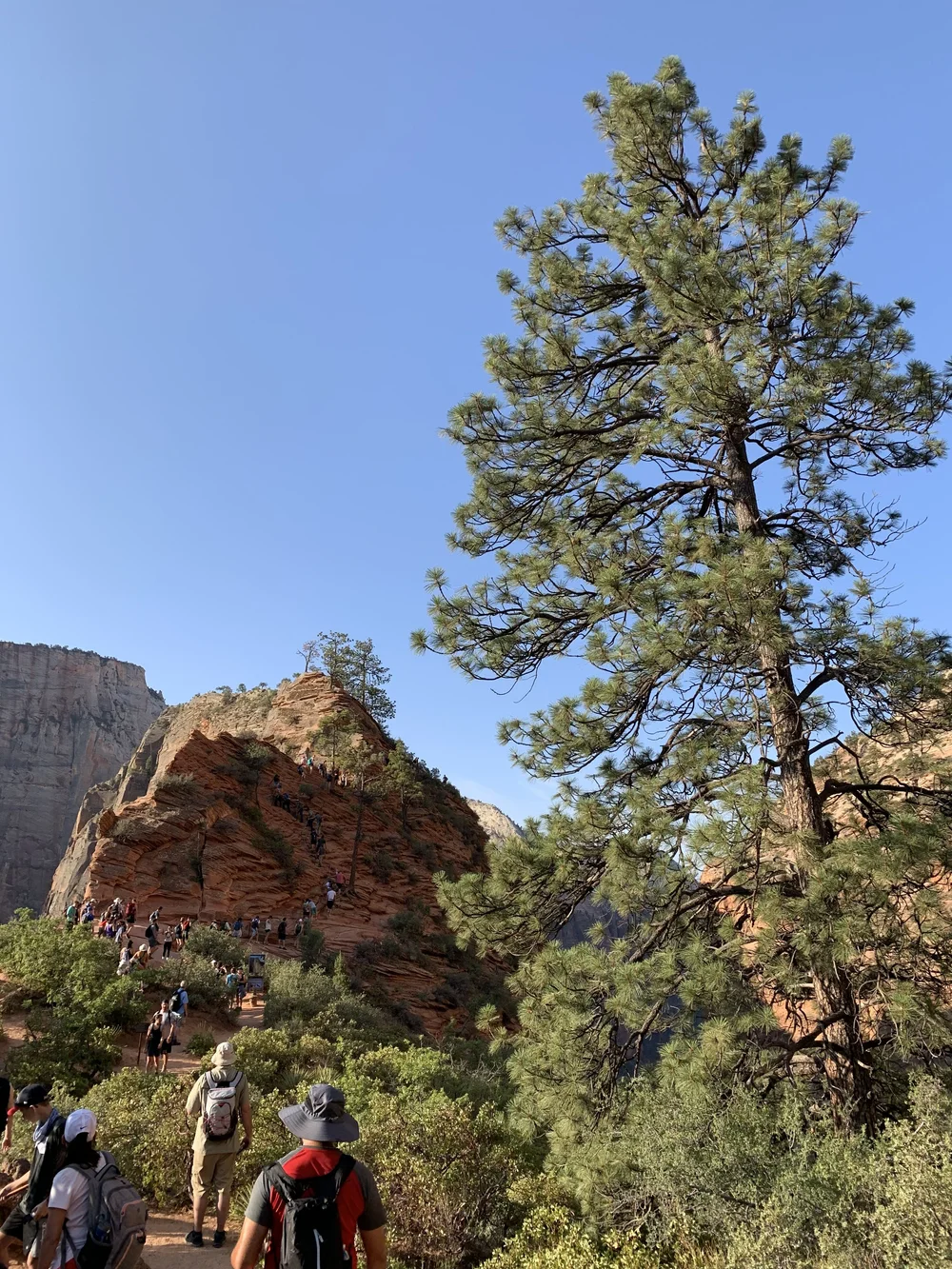 angels landing 5.jpeg