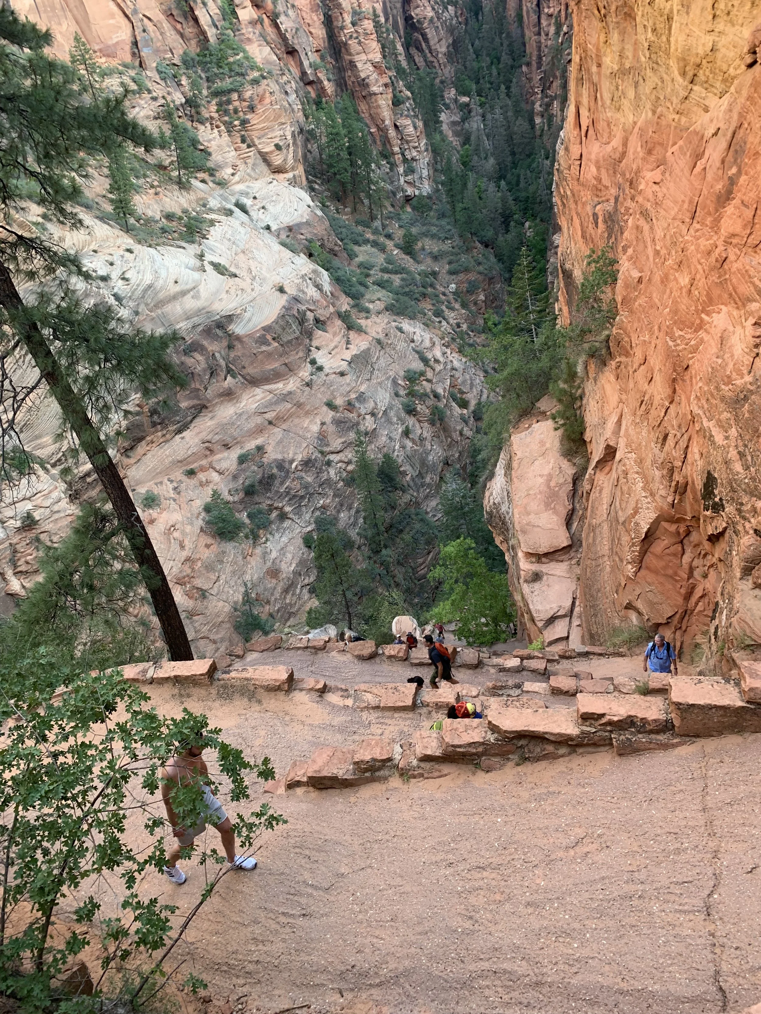 angels landing 4.jpeg