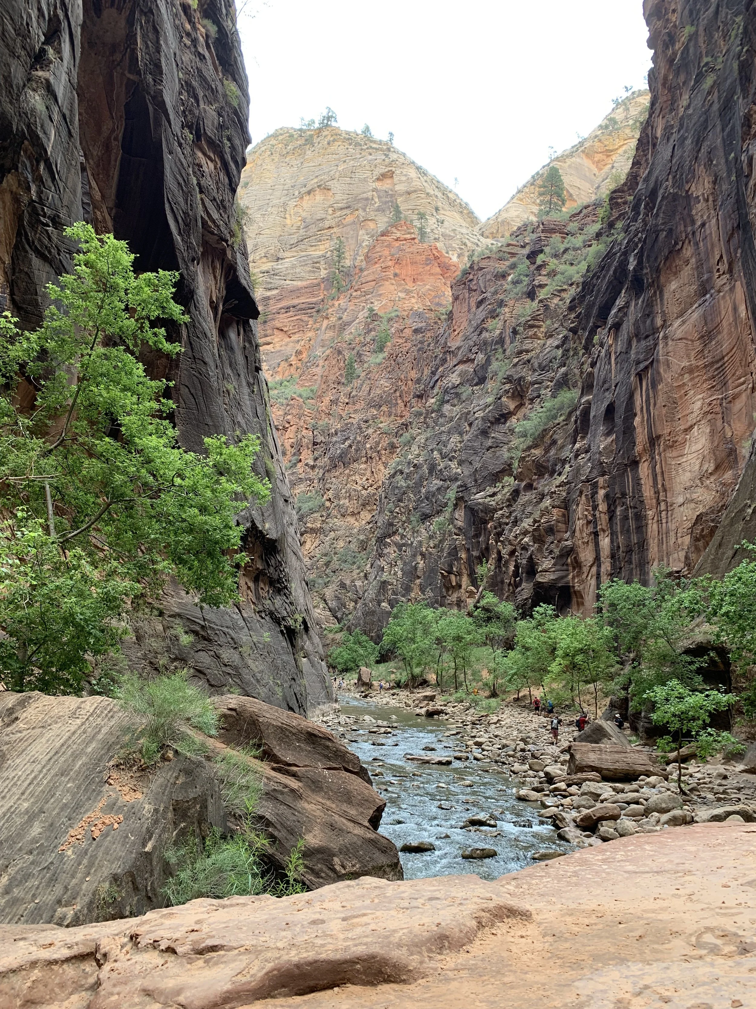 the narrows 4.jpeg