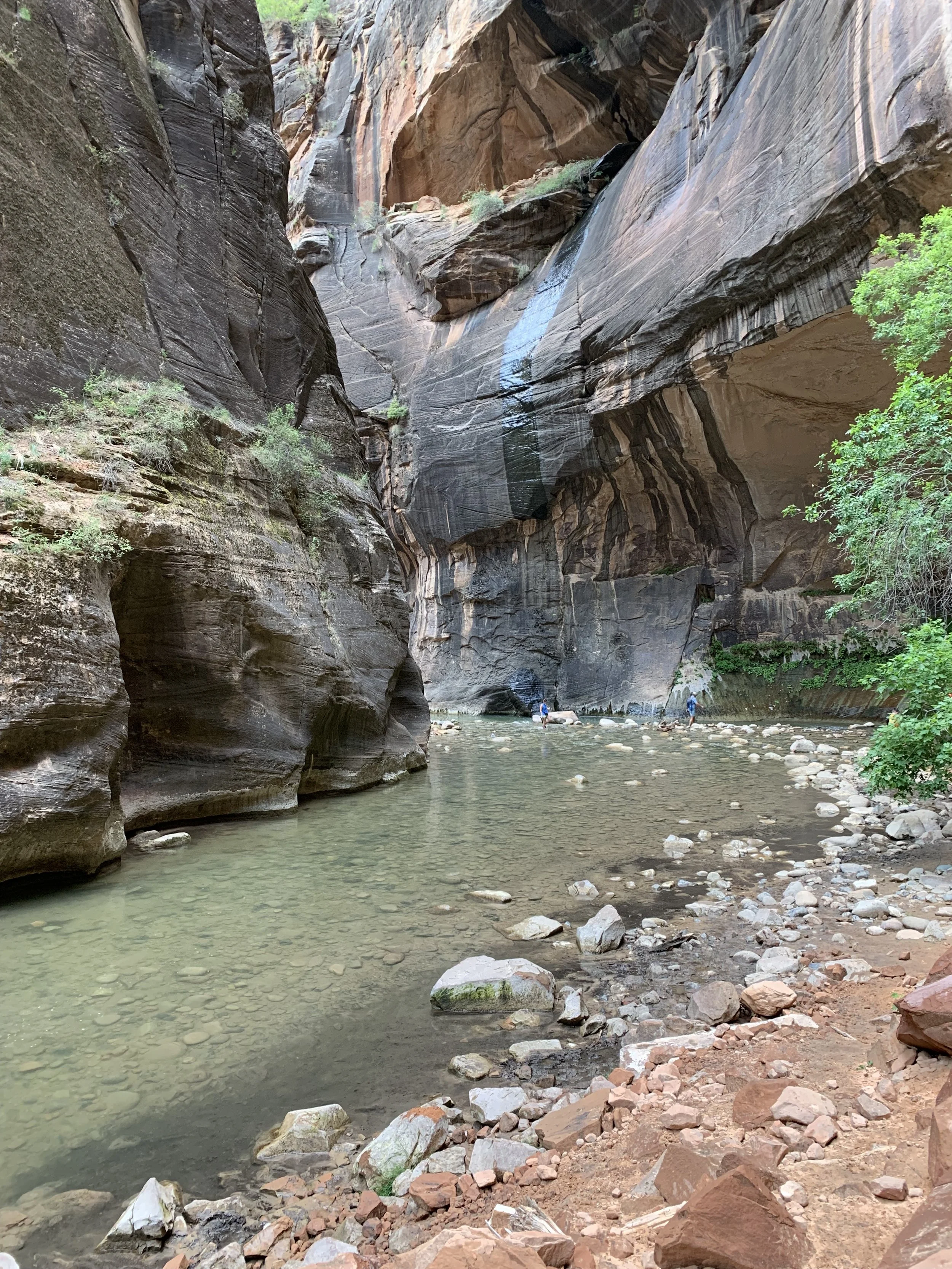 the narrows 5.jpeg