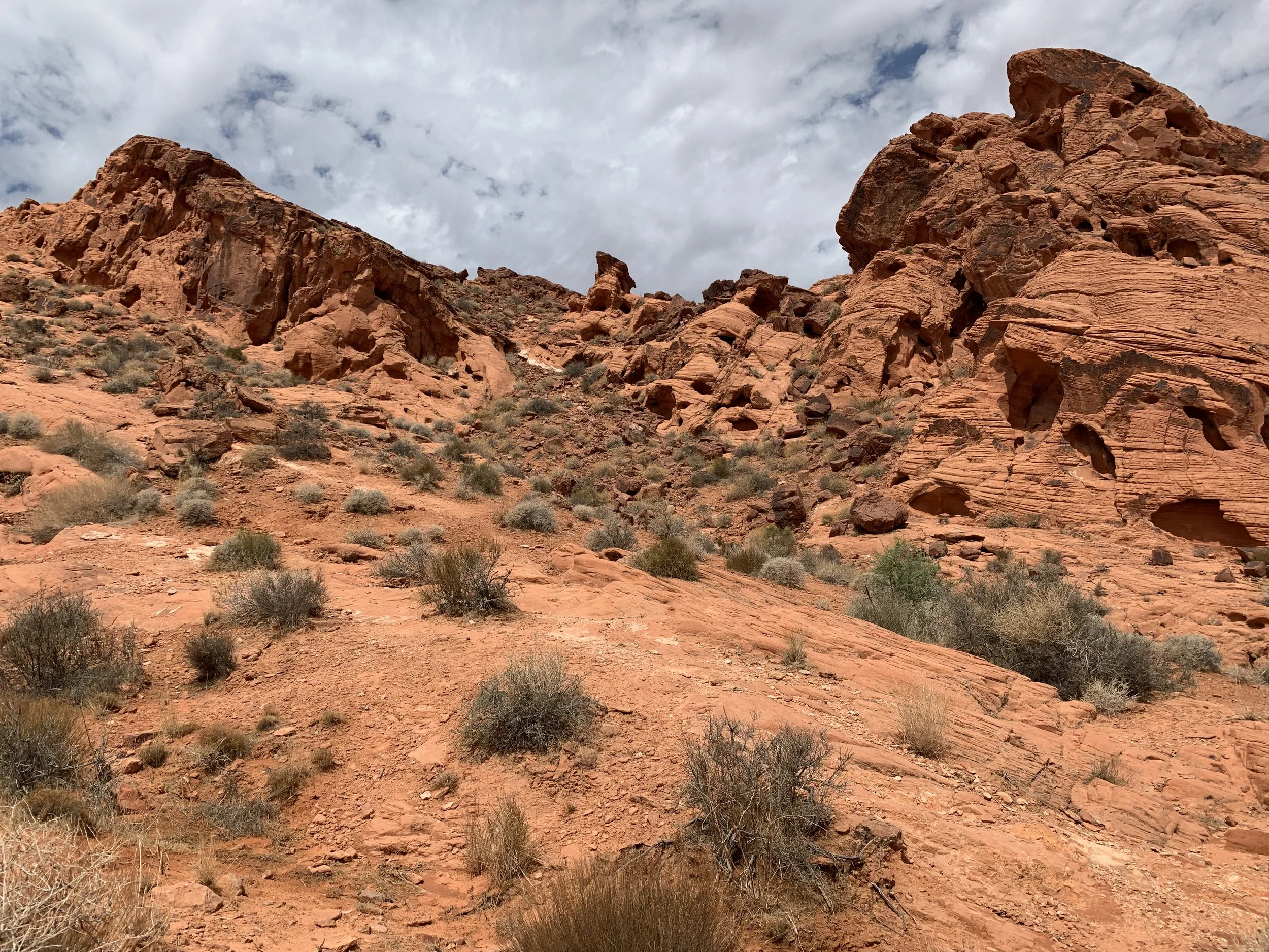 fire valley 1.jpeg