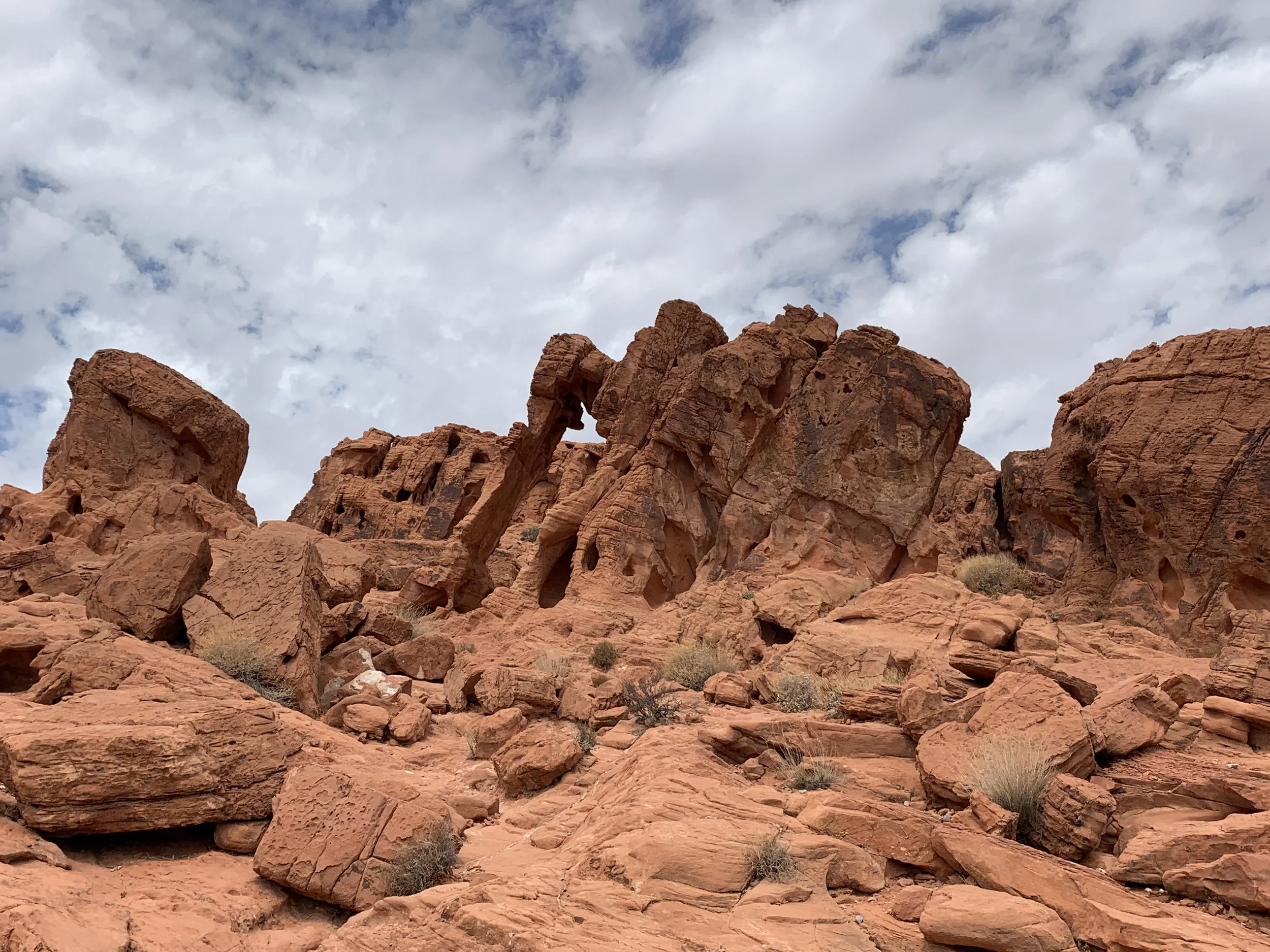 elephant rock.jpeg