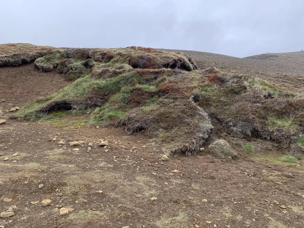 volcano hike2.jpeg