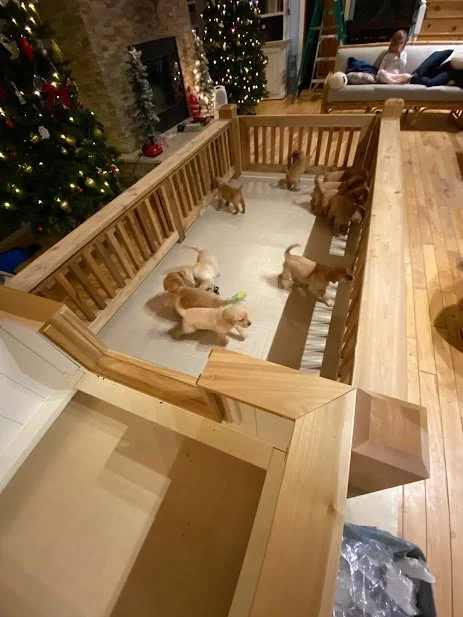 Whelping Box and Puppy Pen Project by Blue Eagle Construction in Minnesota Serving the Brainerd Lakes Area