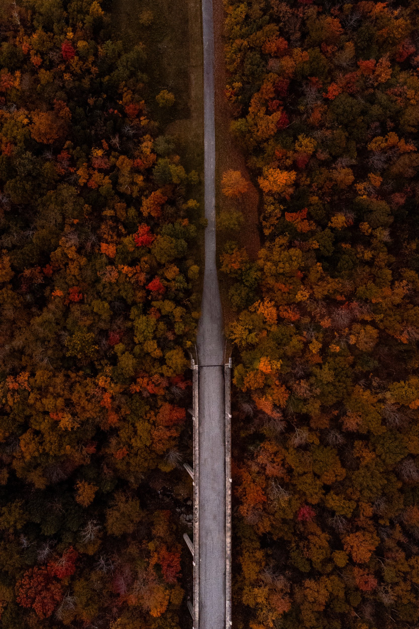 DJI_0310-Edit.jpg