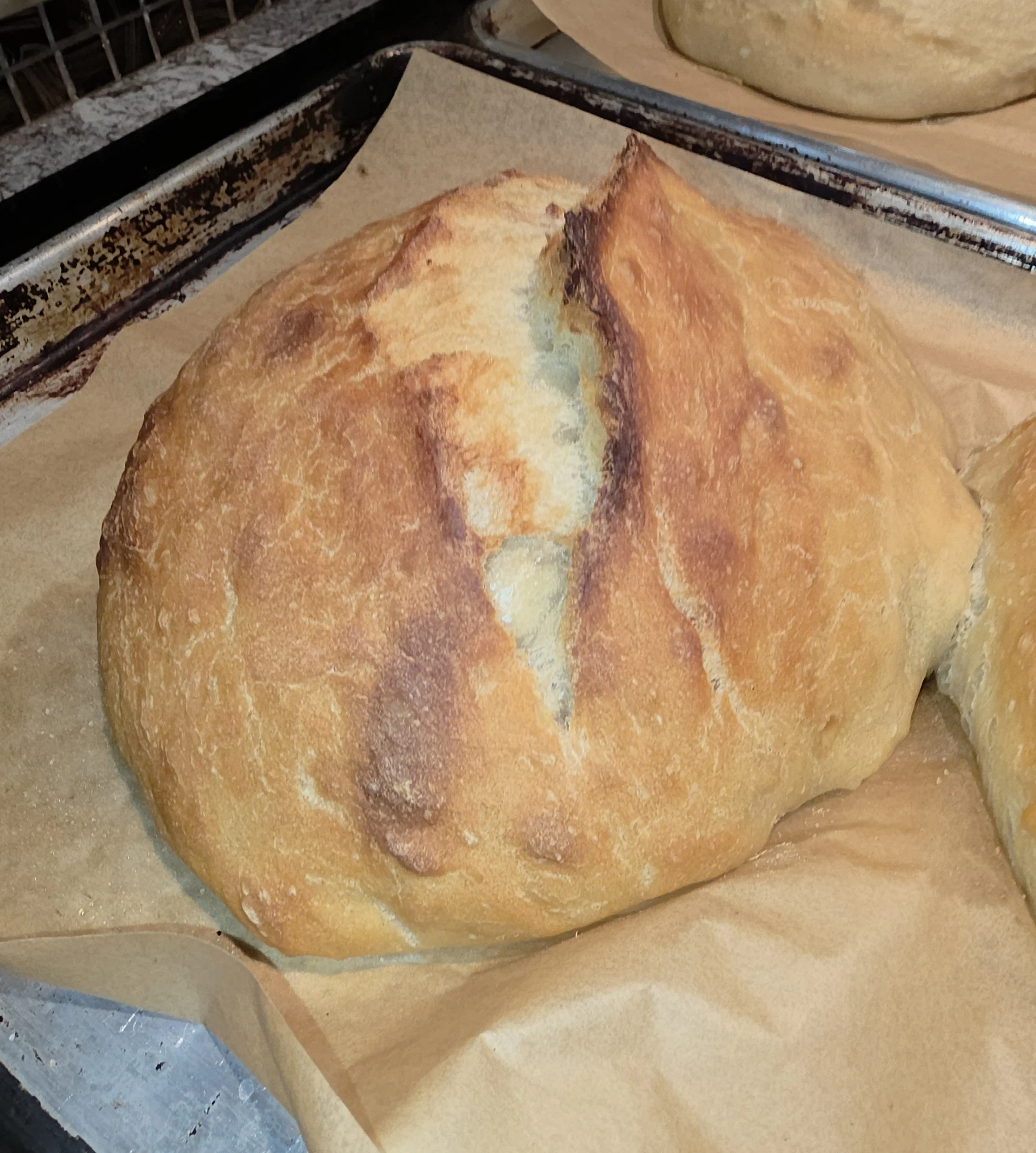 Artisan bread.jpg