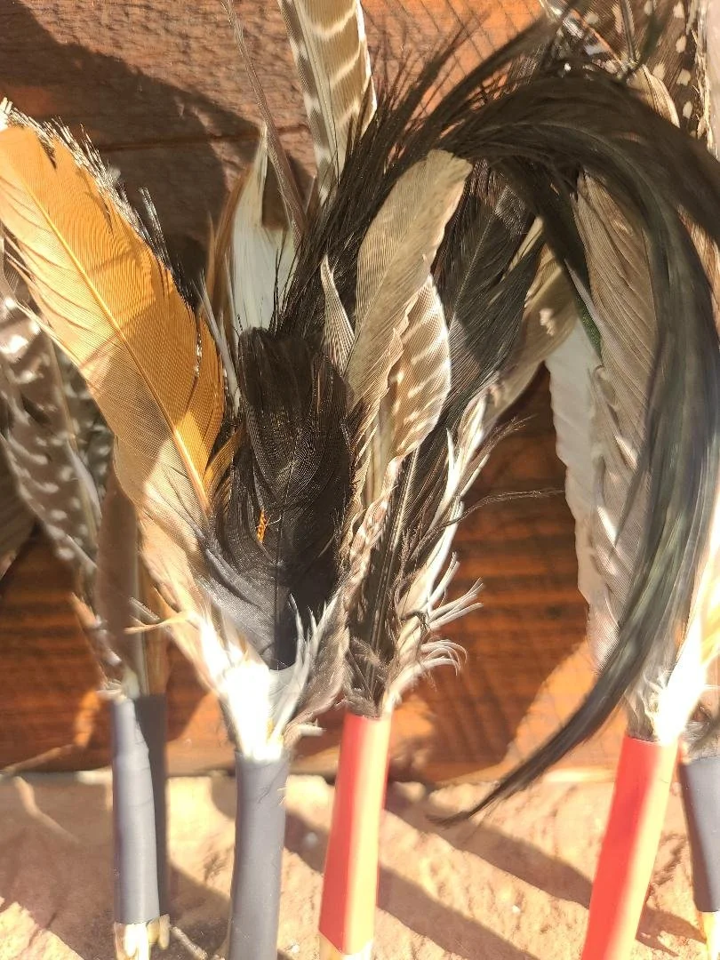 feather cat toys 2 close up.jpg