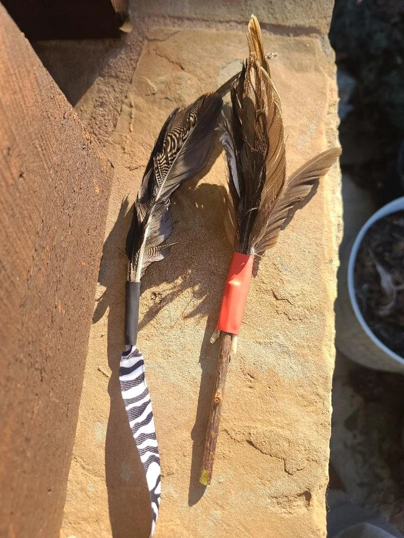 feather cat toys stick & ribbon.jpg