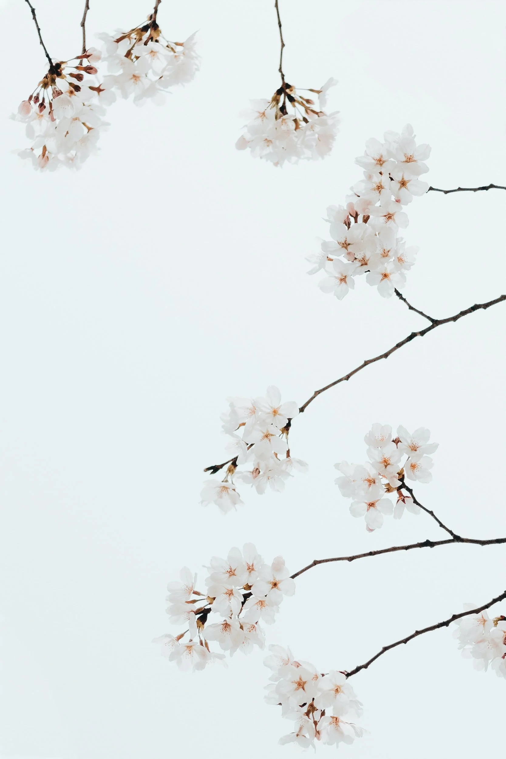 unsplash-image-e63ZVvBfN-U.jpg