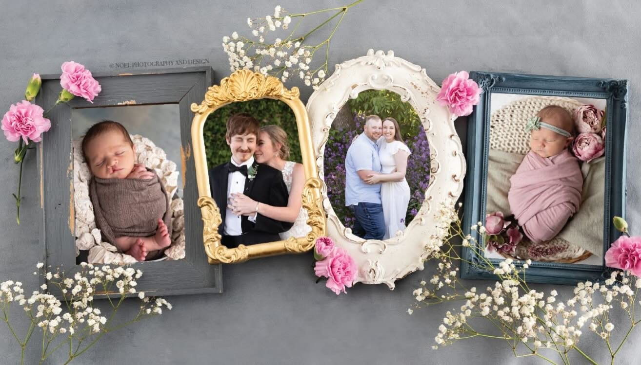 Welcome Spring. 🤍 🌿 Wedding, Newborn &amp; Brand/Headshot Photographer // Brand, Logo and Custom Stationary Designer 

www.noelportfolio.com