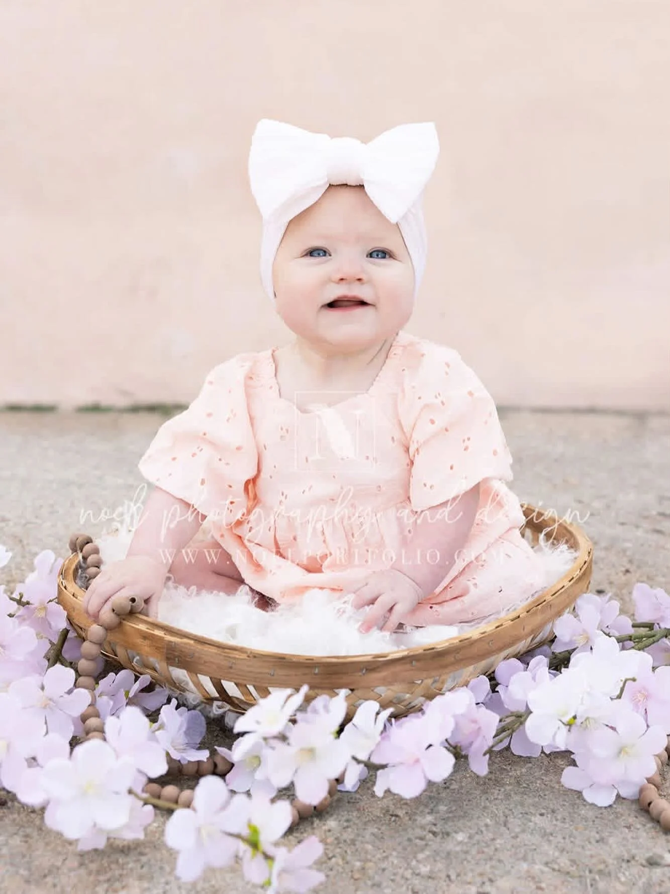 A quick taste of spring from this morning&rsquo;s session. Juuuuust enough blooms and cheeses to get us through the impending cold weather. 🌸🥰💗
______________________________

Spring &amp; Summer sessions are OPEN for booking! 
www.noelportfolio.c