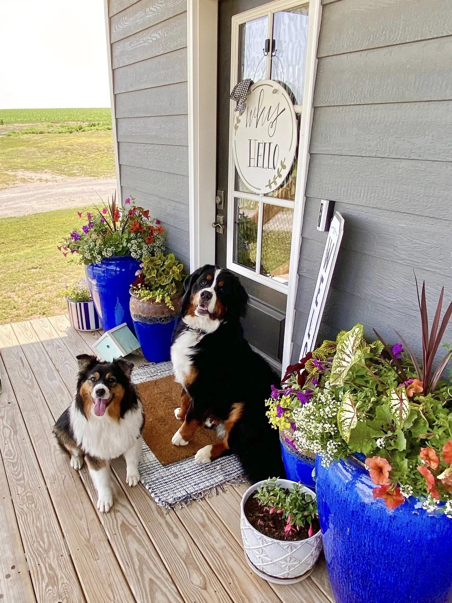 A Plant-Obsessed Creative’s favorite greenhouses
