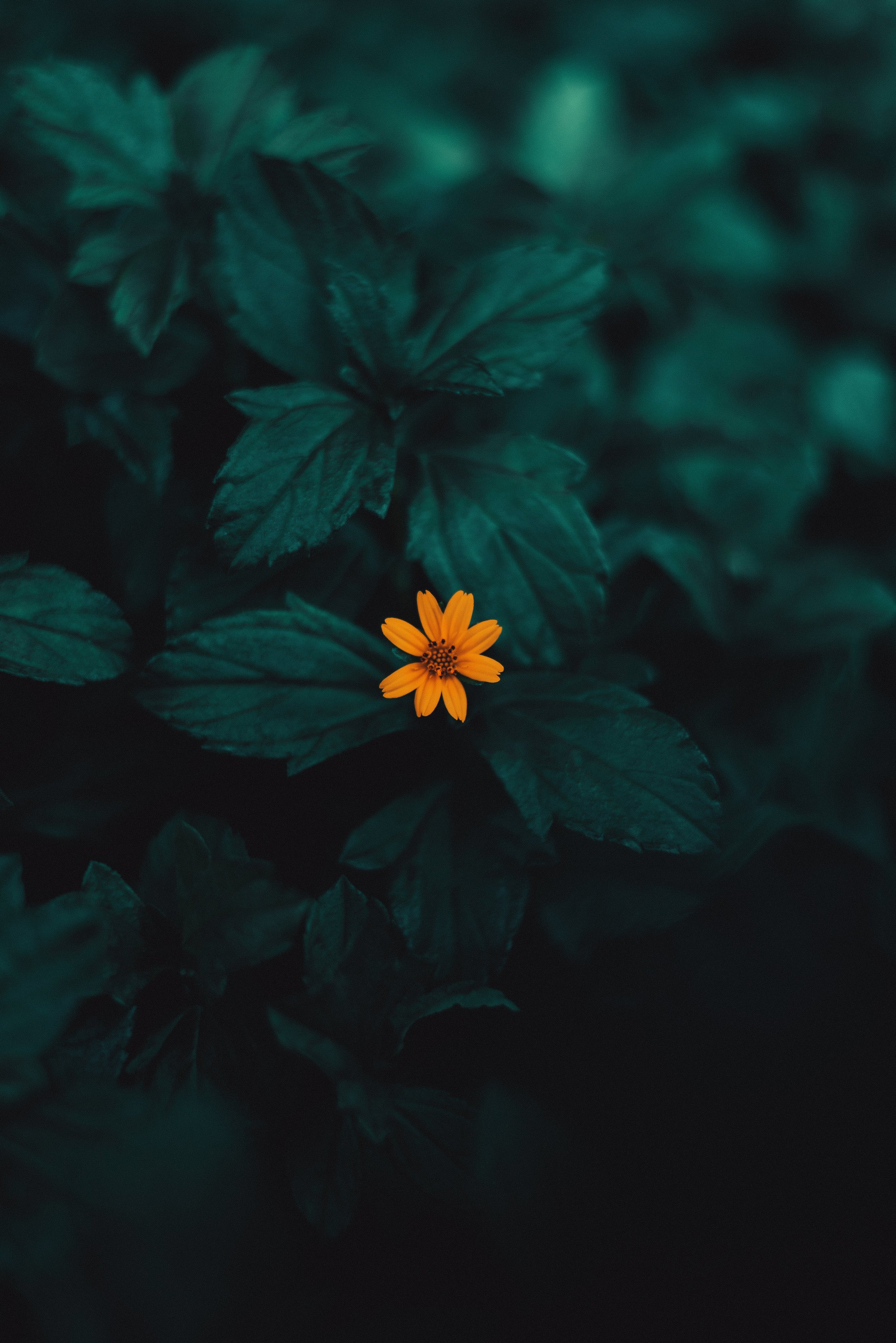 Intergenerational Trauma: How to Navigate Being the First in Your Family to Heal- “You’ve Changed”