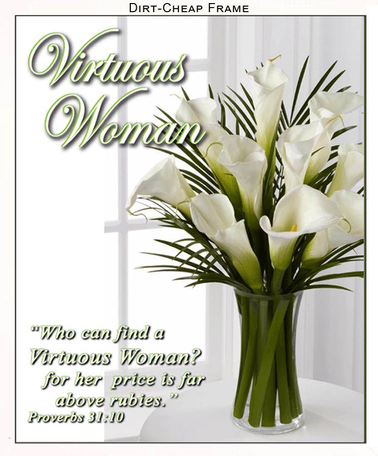 Virtuous-Woman-DC.gif
