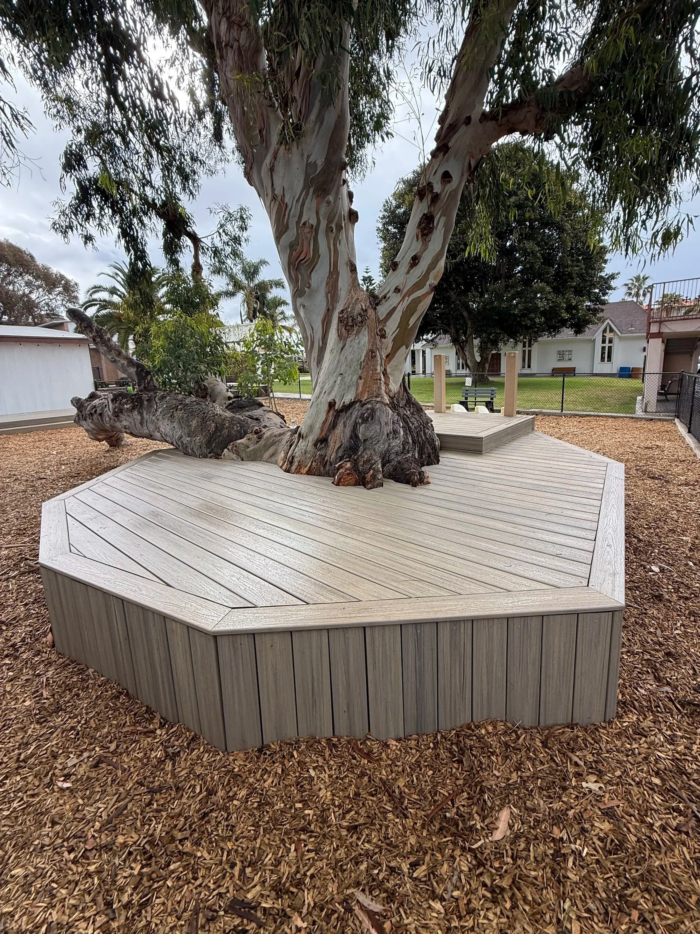 Custom Trex deck built around a mature tree in a church in Carlsbad CA