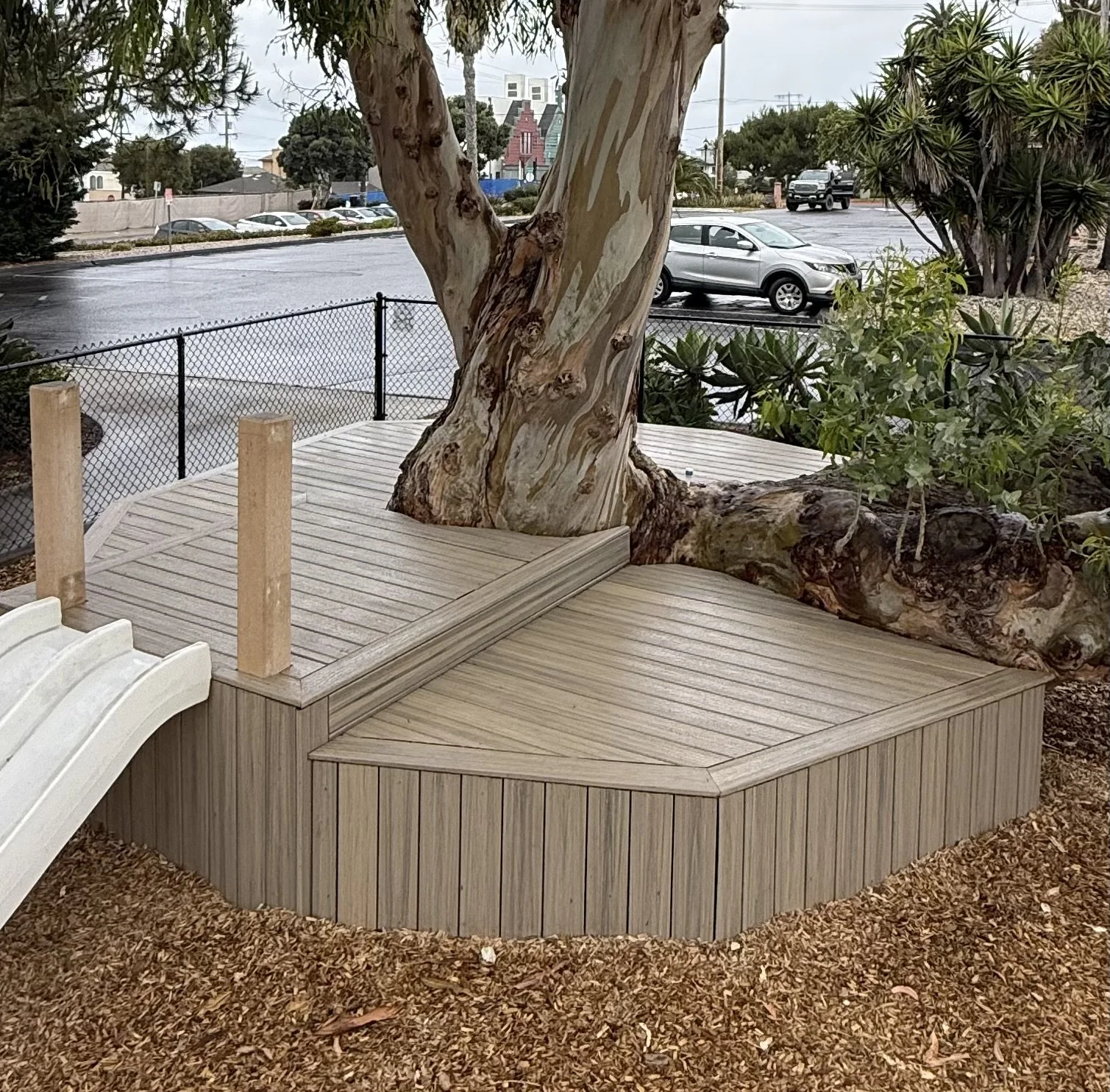 Custom Trex deck built around a mature tree with multiple levels in Carlsbad, California