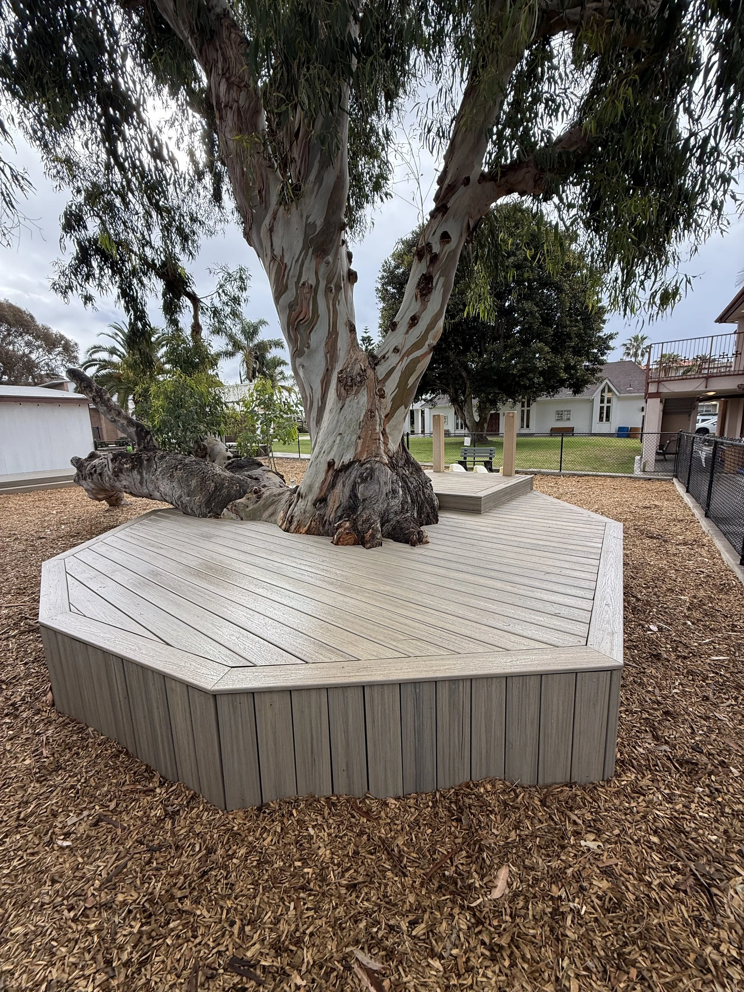 Custom Trex debk build around a mature tree at St. Micharl's by-the-Sea in Carlsbad, California