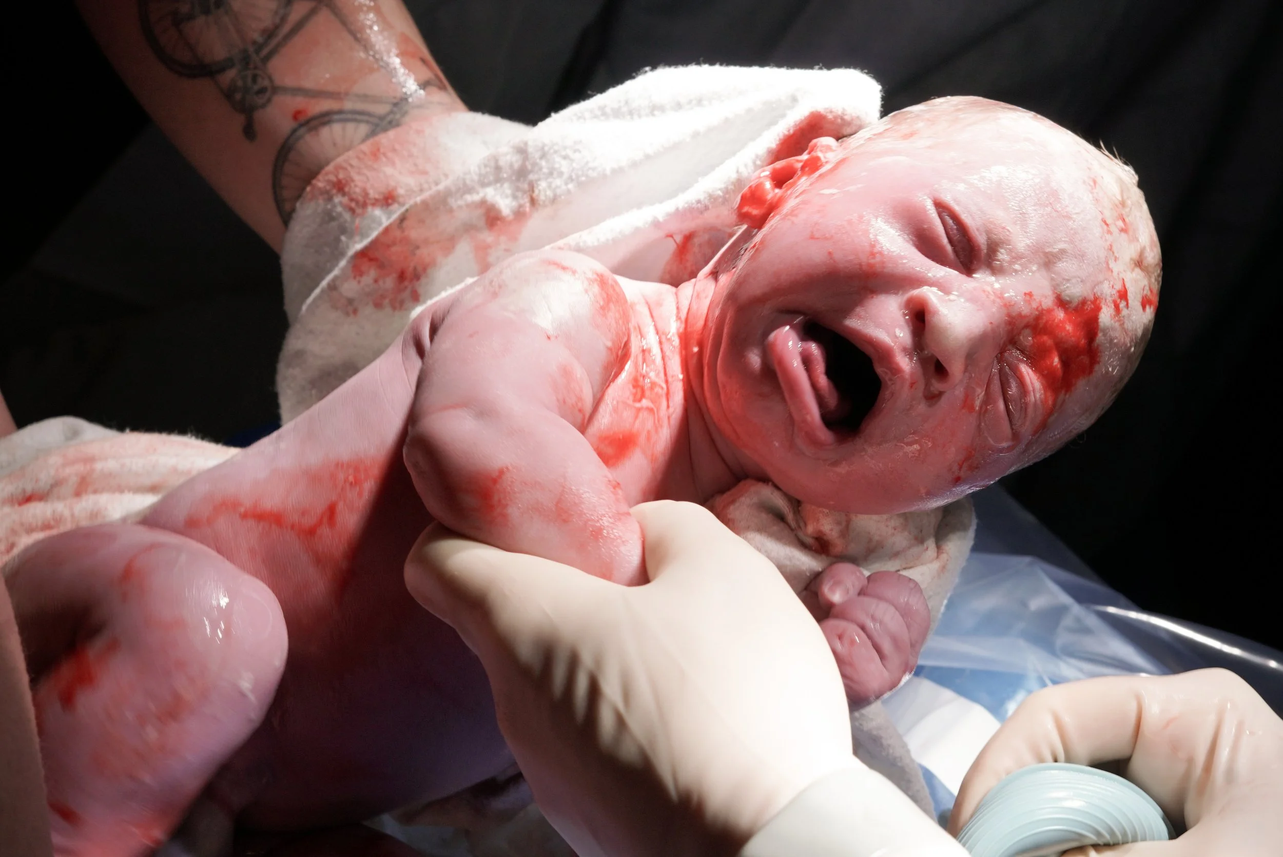 Avery-Mae-20.jpg